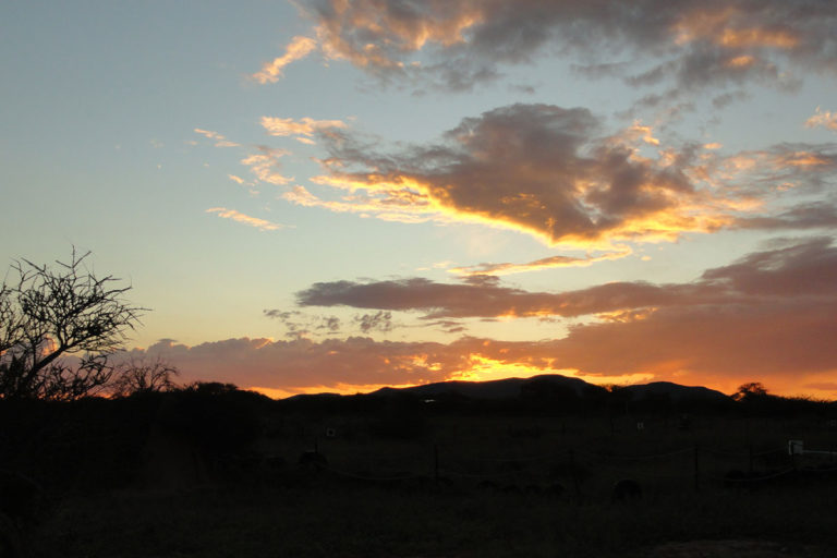 Die schönsten Sonnenuntergänge