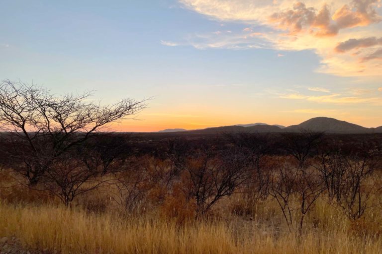 daktari-therapie-namibia-startseite-1920x1280